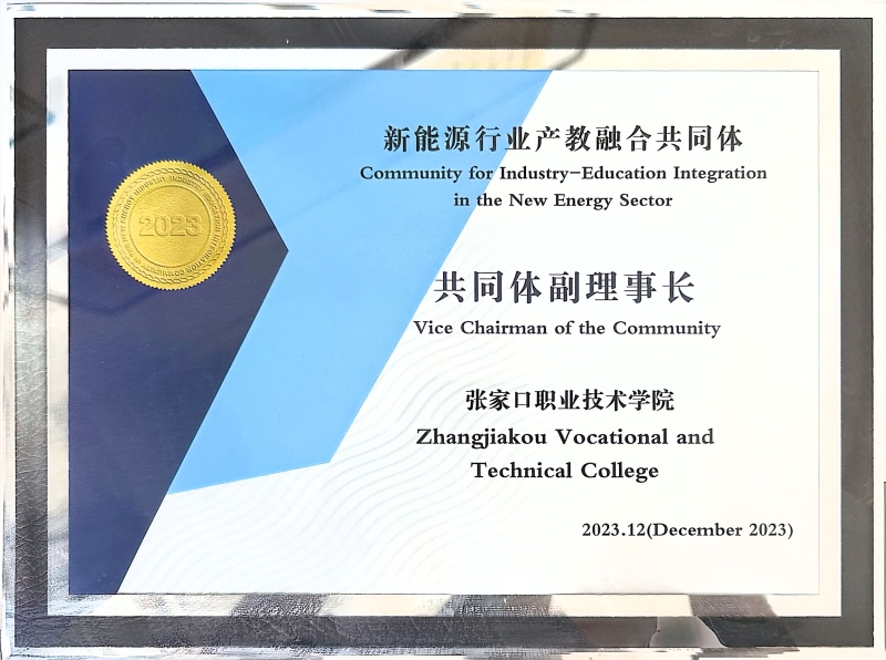 光伏工程技术联盟副理事长奖牌_3.jpg